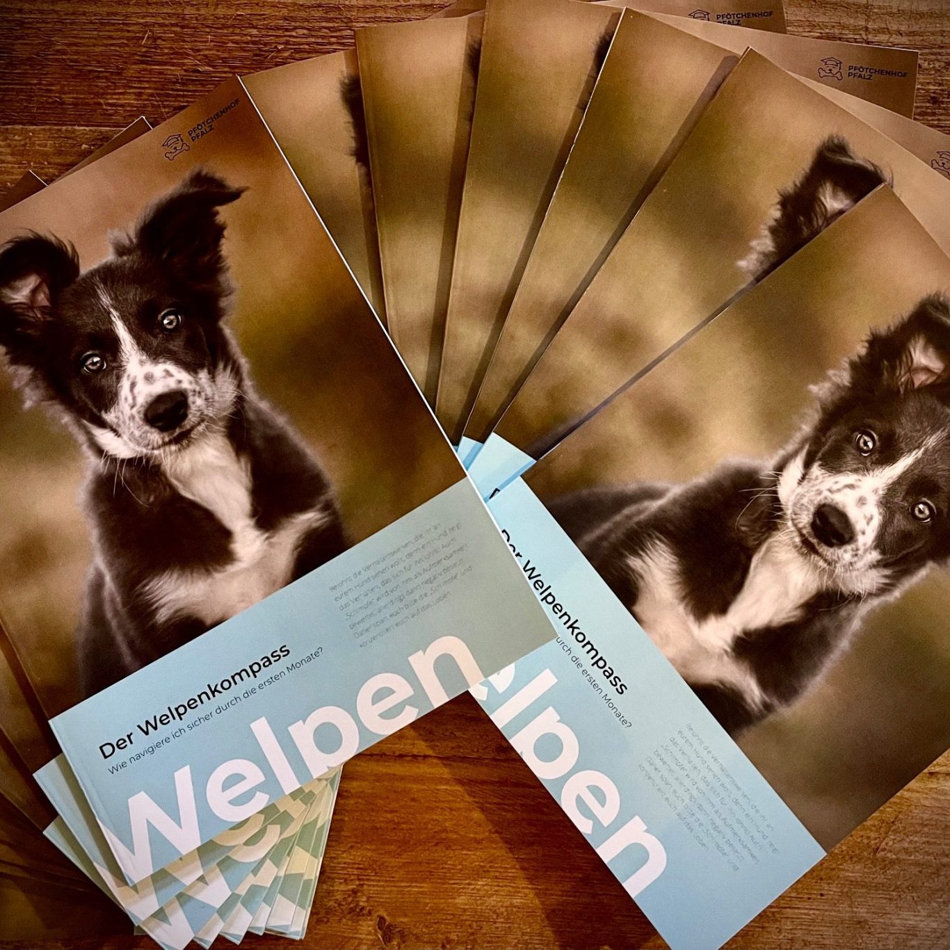 Digitale eBooks für Hundetraining & Verhalten Mehrere Faltblätter mit einem Welpen auf der Vorderseite, hauptsächlich schwarz-weiß.